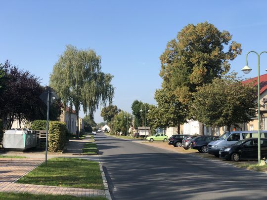 Singles potsdam-mittelmark
